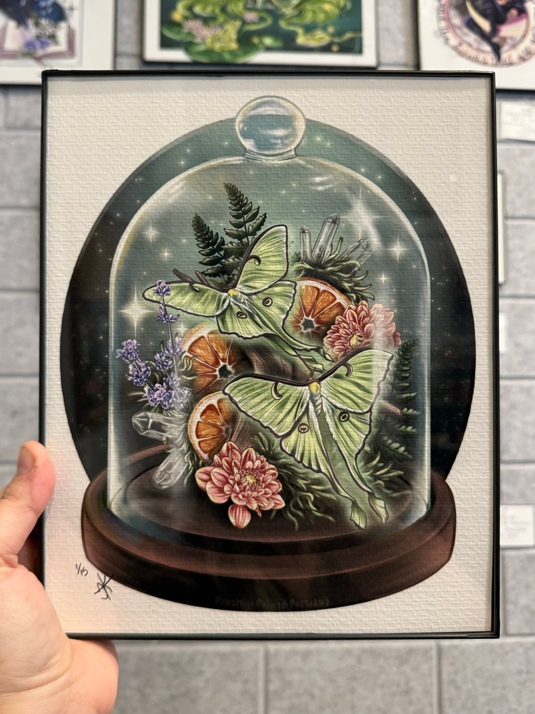 Magical Luna Terrarium 8x10 PRINT